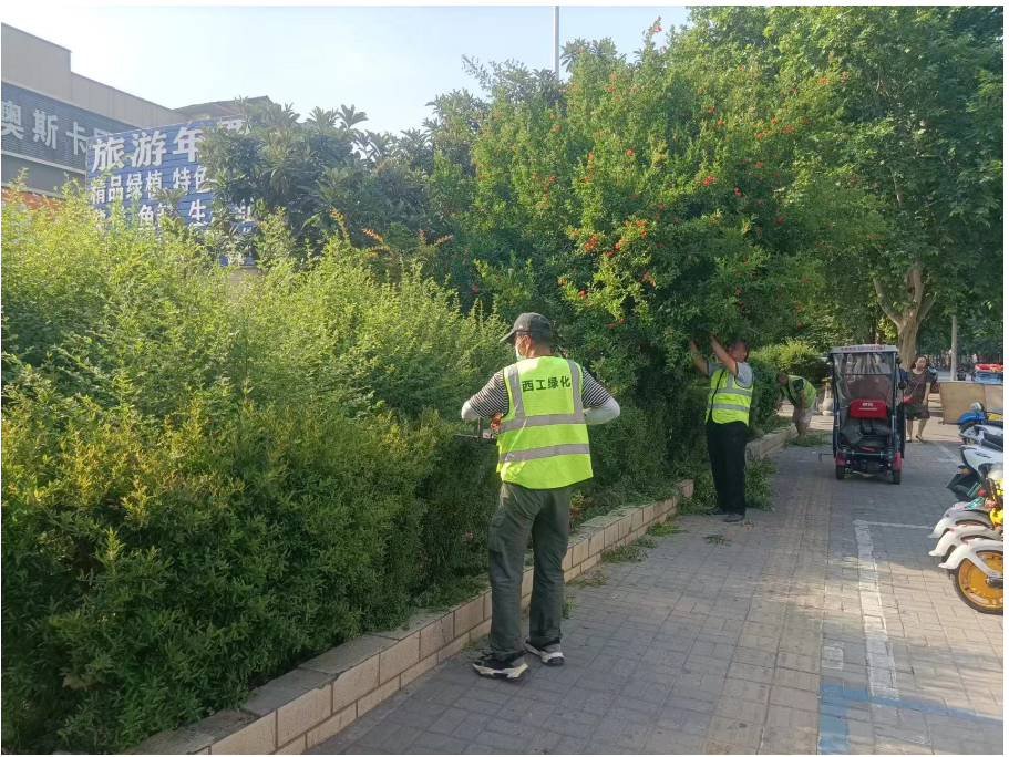 1716445353787220.png image.png